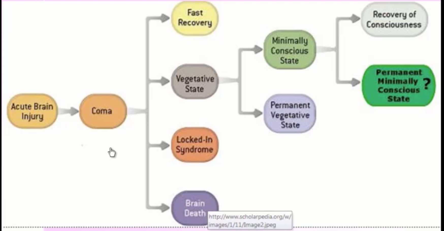 What is the Difference Between a Coma and Brain Death?