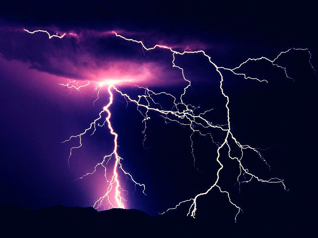 A storm is brewing…… A deadly case of undifferentiated shock