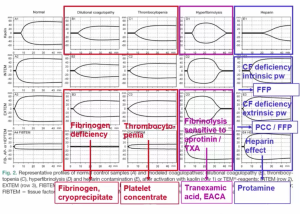 Abnormal TEM Interventions