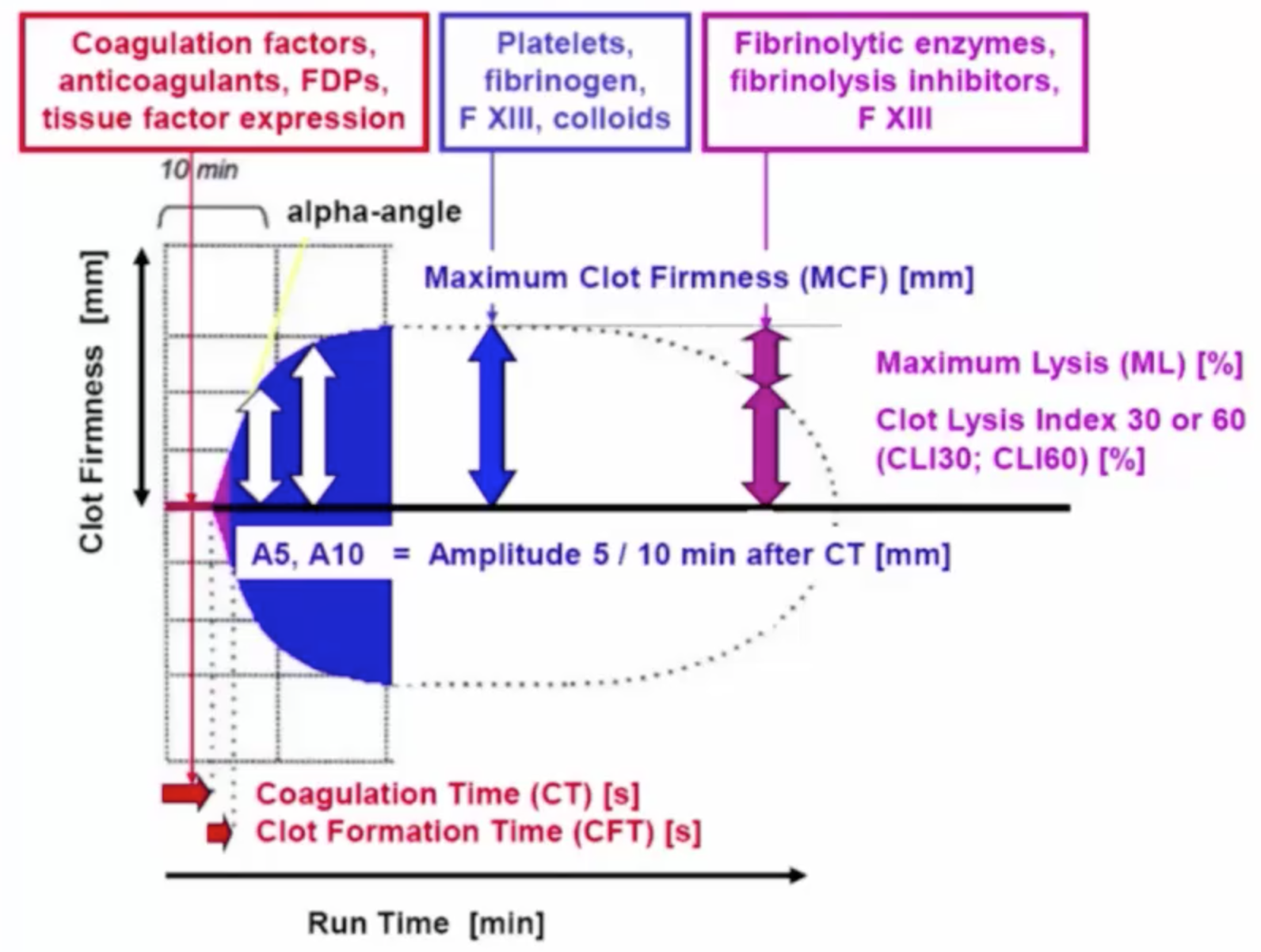 Klaus Gorlinger: TEM-guided POC Coagulopathy Management