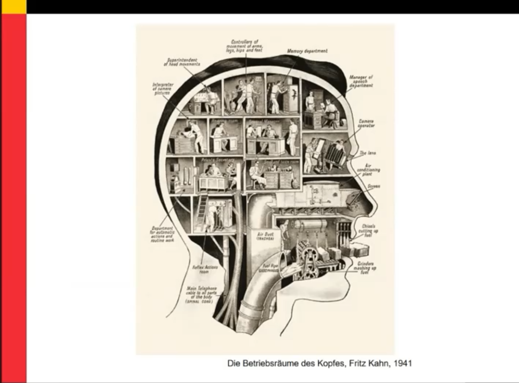 Motta – Encephalitis