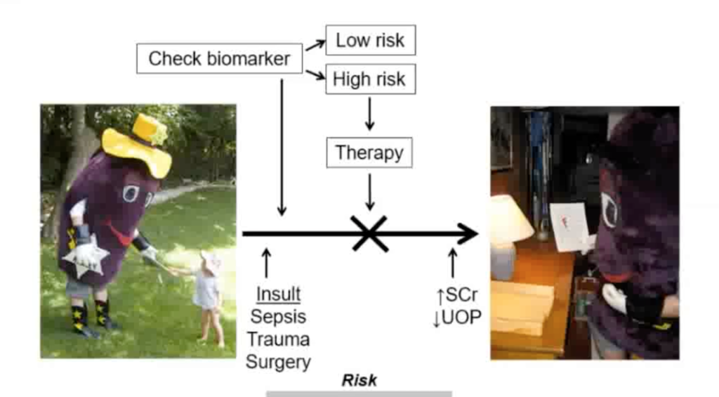 Shashaty – AKI in Critical Illness: Using Human Study to Inform Mechanisms