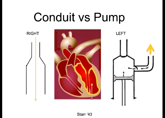 Vinayak – Right Ventricular Physiology and Acute Right Heart Syndromes